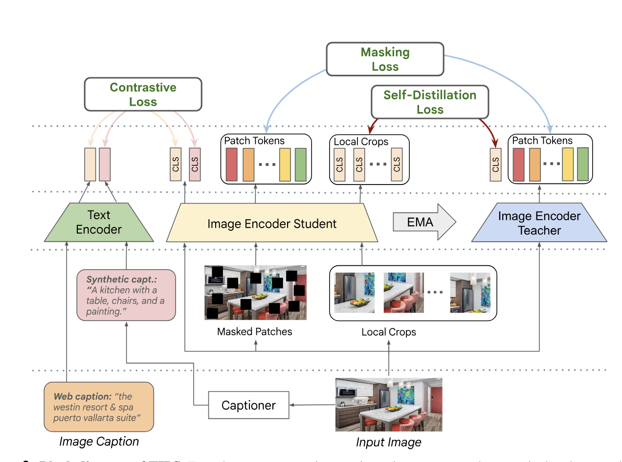 TIPS: Text-Image Pretraining with Spatial Awareness